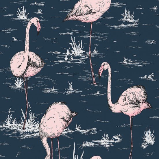 Flamingos / 112/11041 / Icons / Cole&Son