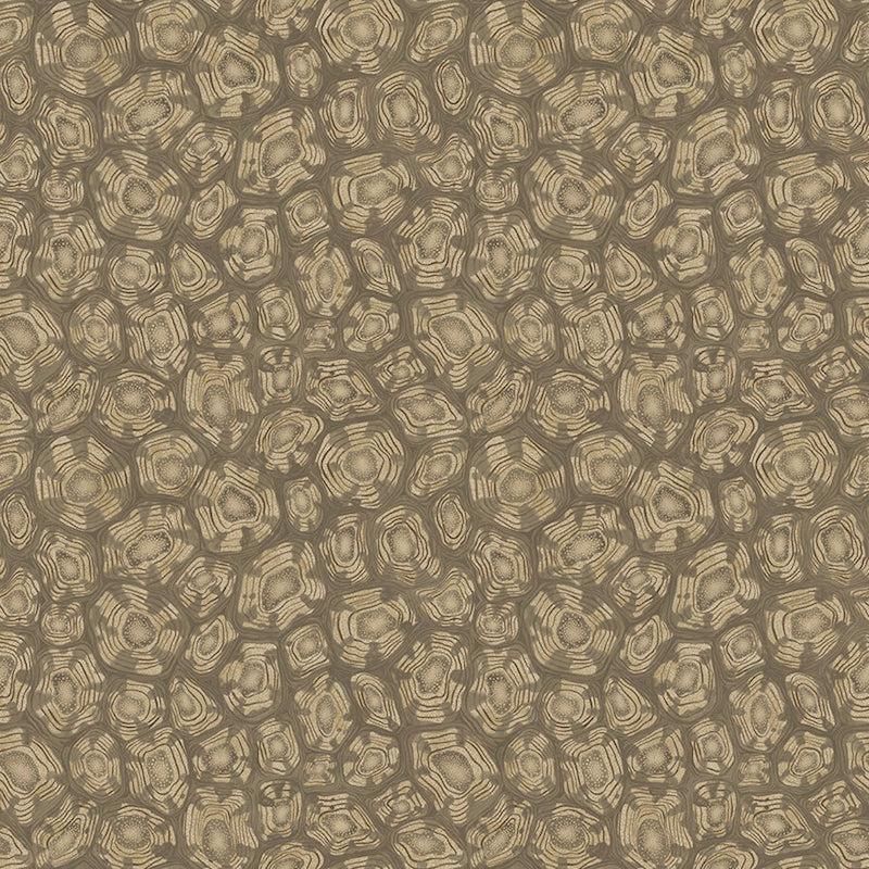 Ardmore Jabula / 119/4020 / Savanna Shell / Cole&Son