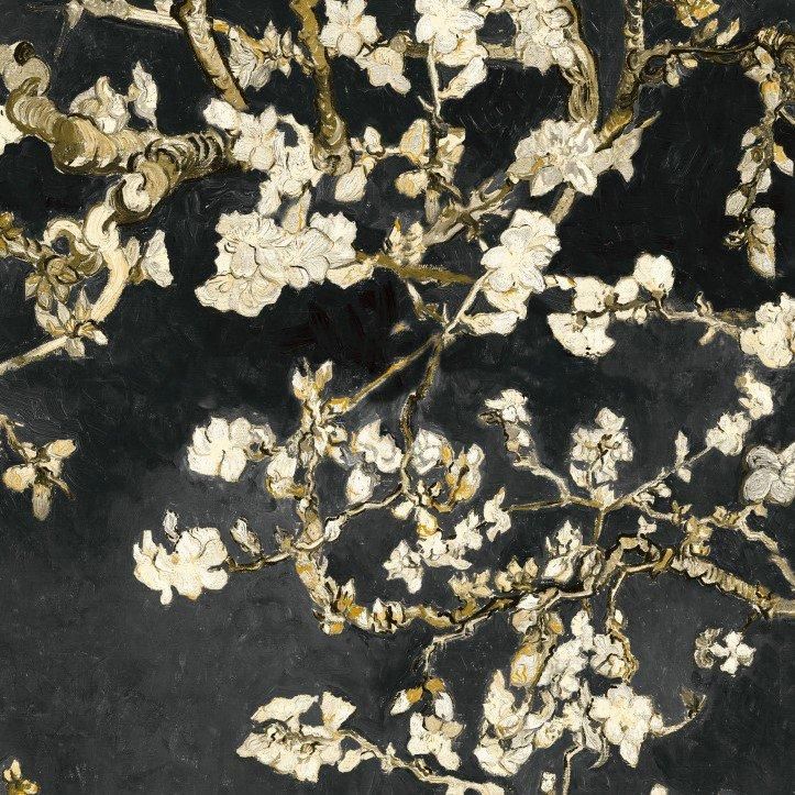 Van Gogh Muse 17145
