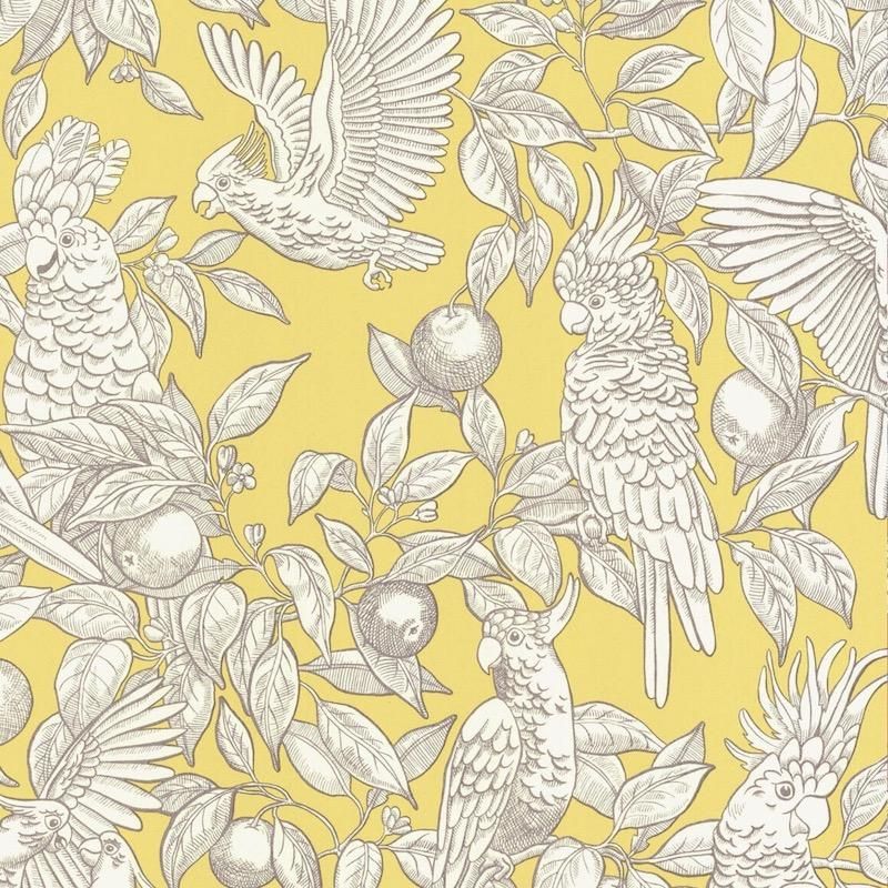 Talk about cockatoos (Lemon) / 11-77 / VOL.2 / Langelid/vonBromssen