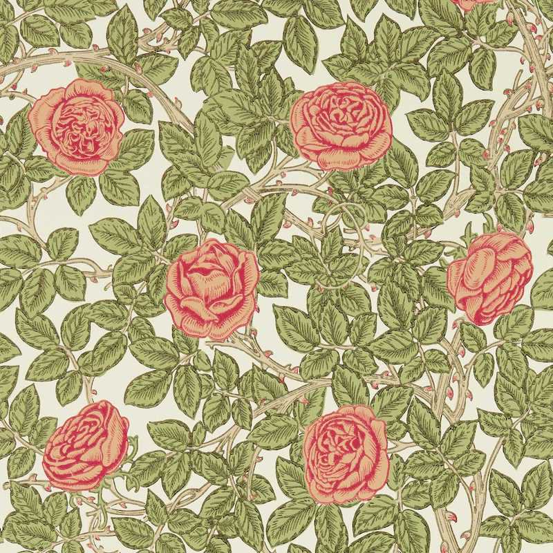 Rambling Rose / 217207 / Emery Walker's House Wallpaper Collection / Morris&Co.
