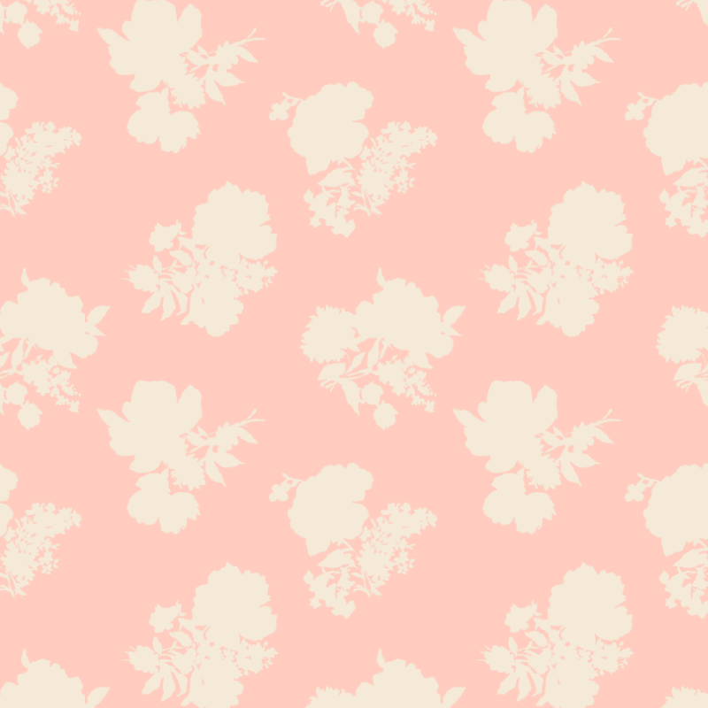 Swans Island Silhouette / Shell Pink /  Madcap Cottage