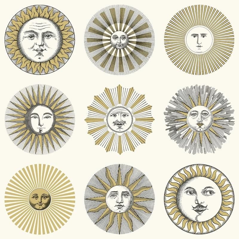 Soli / 123/1002 / Fornasetti Senza Tempo Ⅱ / Cole&Son Soli / 123/1002 / Fornasetti Senza Tempo Ⅱ / Cole&Son