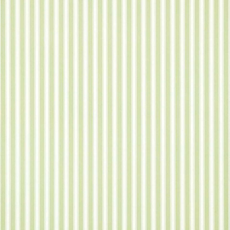 New Tiger Stripe / DCAVTP103 / One Sixty / Sanderson