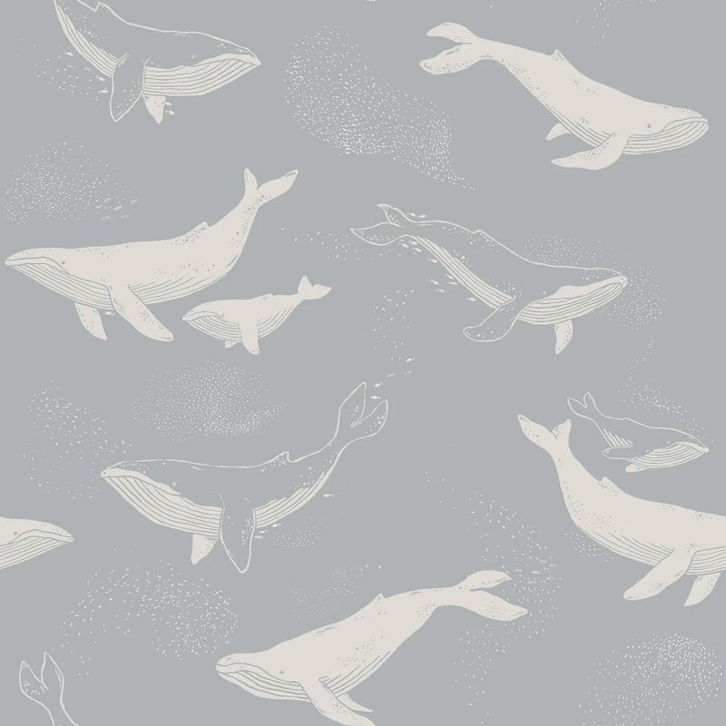 Whales / 6942 / Newbie Wallpaper / Borastapeter