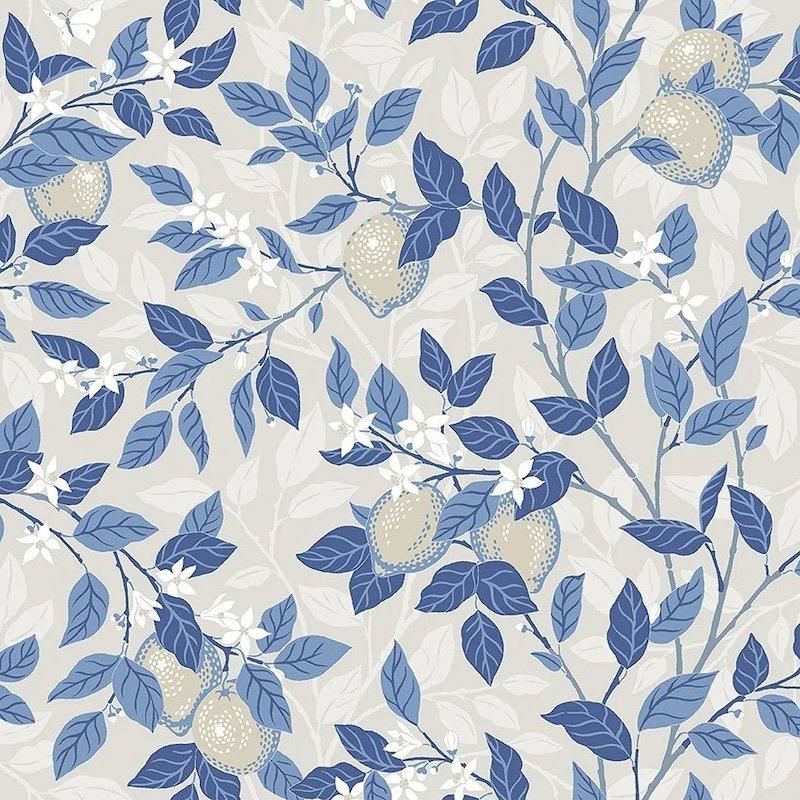 Citrontrad / 6149 / Blue & White / Borastapeter