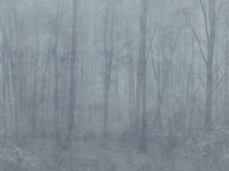 Skog Misty Blue / S10106 / JordnäRa / SANDBERG