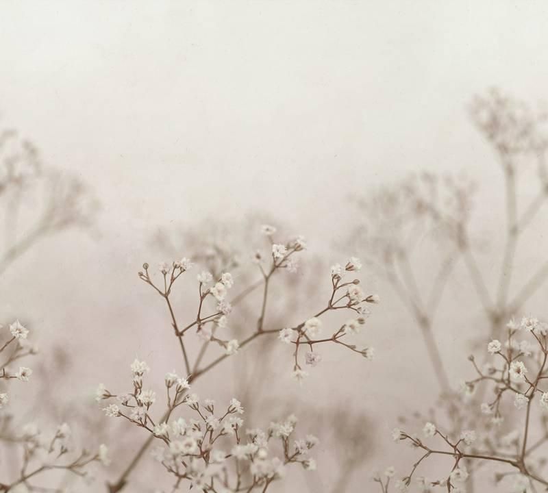 Julia Blush / S10130 / JordnäRa / SANDBERG