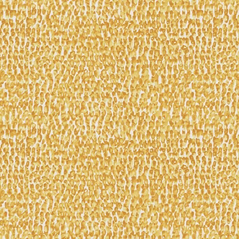 Join the dots / BOX-JOY44 / Joy / Omexco