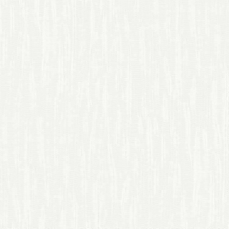 Colore / 23680 / The Best Classic & Elegant / PARATO