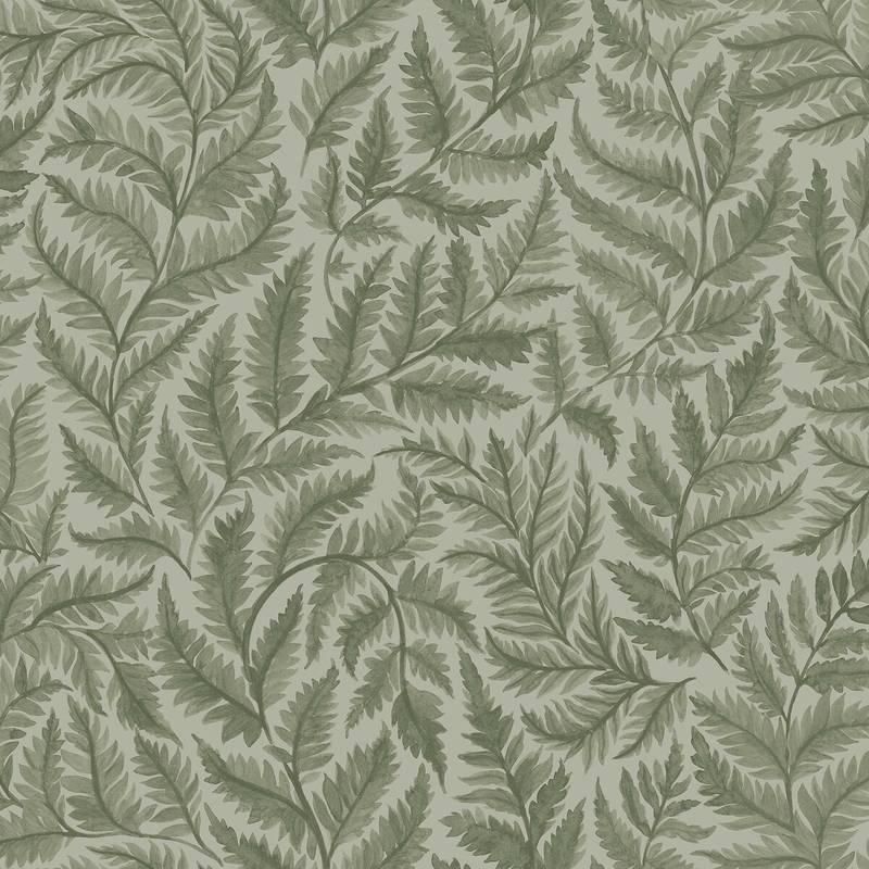 Ferns / 7792 / Adorn / Borastapeter