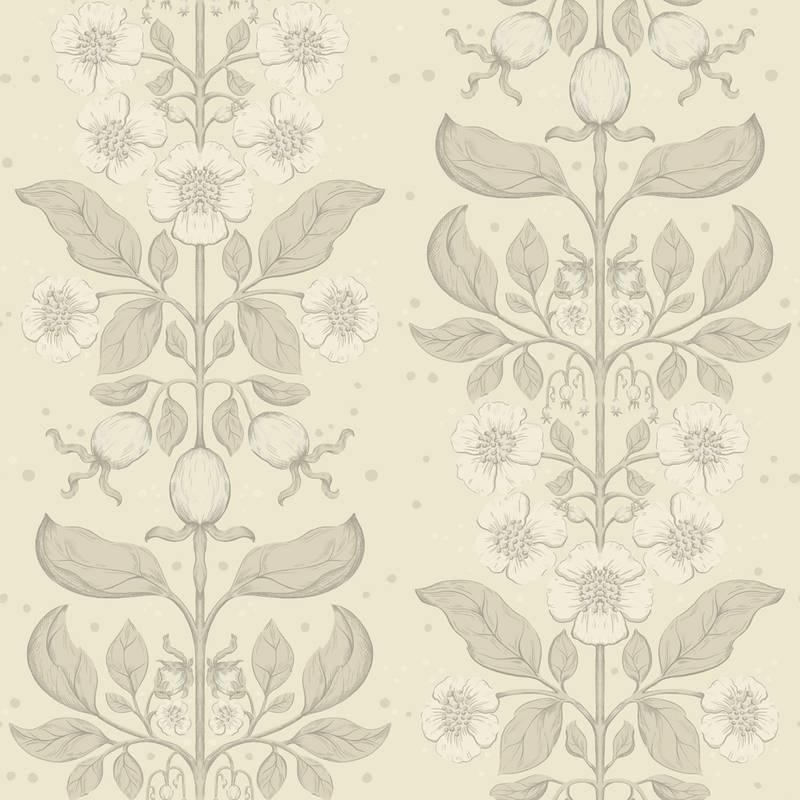 Rosa / 48009 / Saltviken / midbec