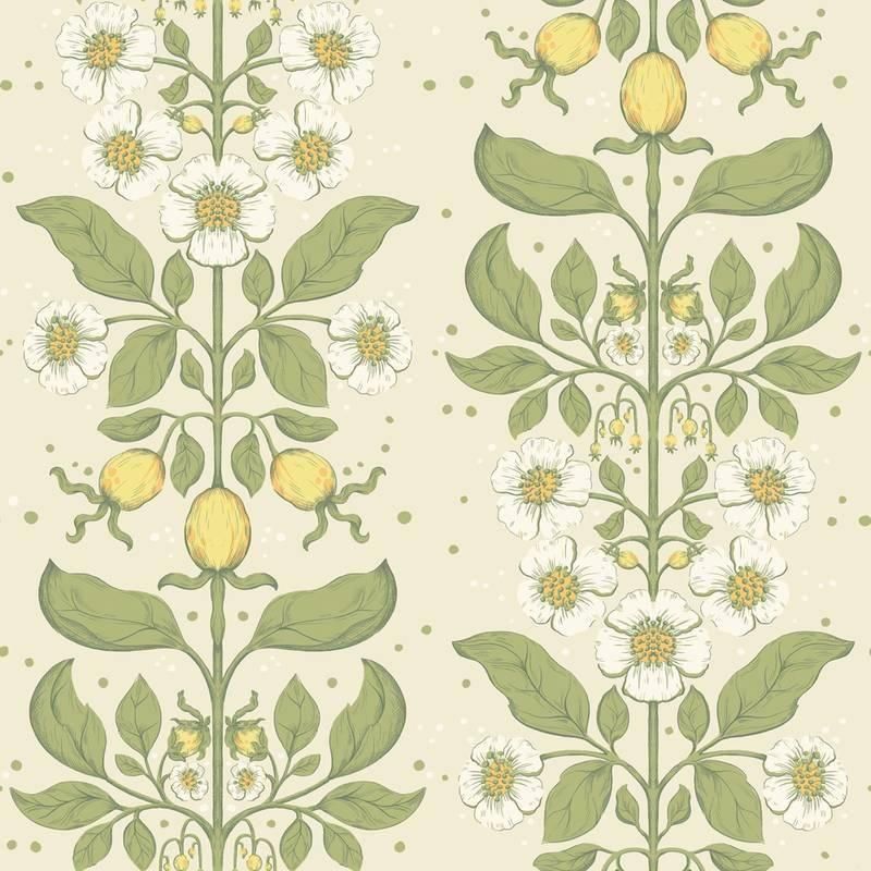 Rosa / 48010 / Saltviken / midbec