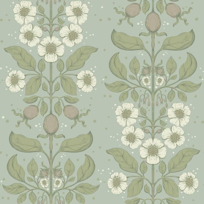 Rosa / 48011 / Saltviken / midbec