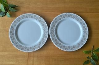 ARABIA/ӥRypale/ѥ 17ѥץ졼2祻å NO.16183