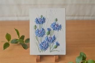 Jie Gantofta/ȥեAIMOƫ Ϥ˥֥롼Τ֡ǥ NO.1656