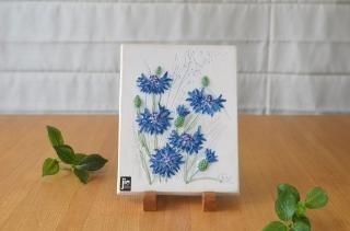 Jie Gantofta/ȥեAIMOƫ Ϥ˥֥롼Τ֡ǥ NO.2262