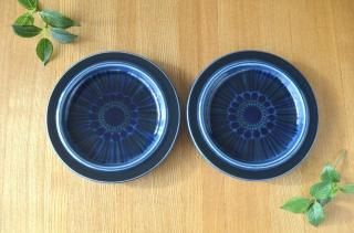 ARABIA/ӥKosmos/֥롼⥹16cmץ졼2 NO.21157