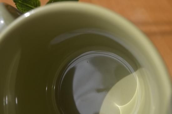 iittala/イッタラ○teema/ティーマ オリーブグリーン マグカップ iittala/イッタラ○teema/ティーマ オリーブグリーン マグカップ