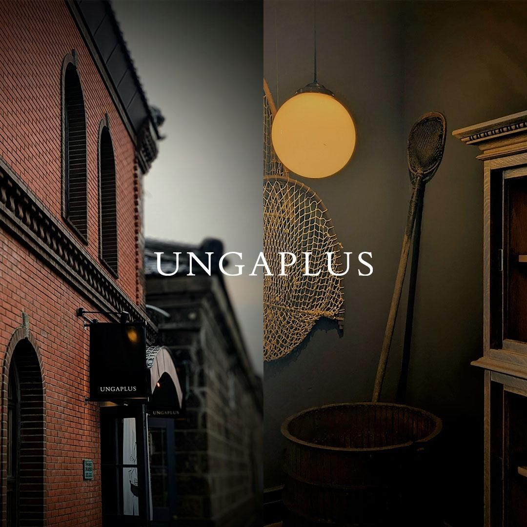 UNGAPLUS