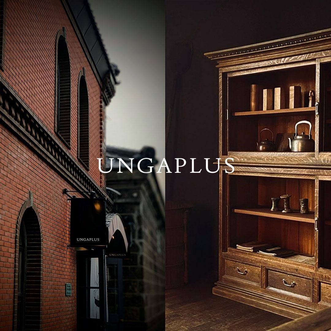 UNGAPLUS