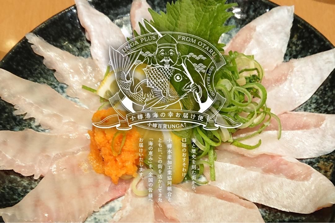 海の幸お届け便り 48 エンガワが美味しい白身魚の高級魚ヒラメ 小樽百貨unga うんがぷらす