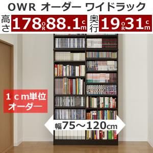 Ωȶۥ磻ɥåOWR(120cm/1cmñ̻)