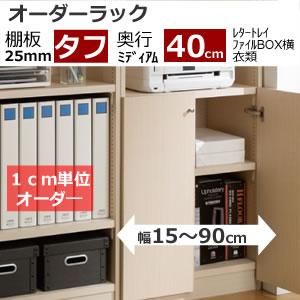 Ωȶۥå êx40cmߥǥǥ (쥿ȥ졼 եBOX )