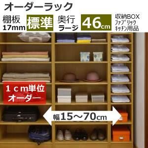 Ωȶۥå êɸx46cm顼 (ǼBOX ե֥å å)