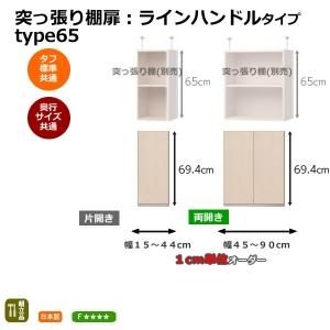 Ωȶͤĥê 饤ϥɥ륿 type65/15-90cmååAR/顼åNC ᥤɡShelfit