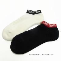 <img class='new_mark_img1' src='https://img.shop-pro.jp/img/new/icons14.gif' style='border:none;display:inline;margin:0px;padding:0px;width:auto;' />25177460ѥͤΥˡå