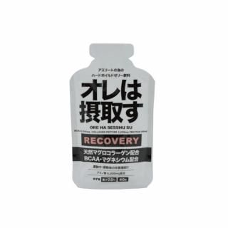 ݼ褹 RECOVERY 른