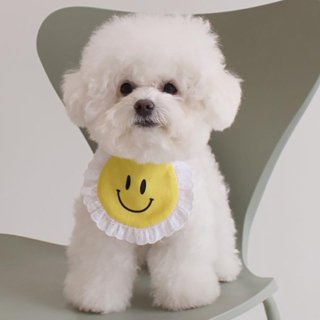 【犬服】にこちゃん スタイ かわいい 犬服 バースデイ 誕生日