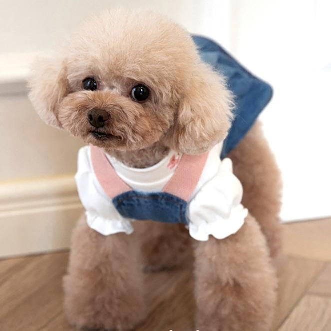 犬服 デニムジャンパースカート