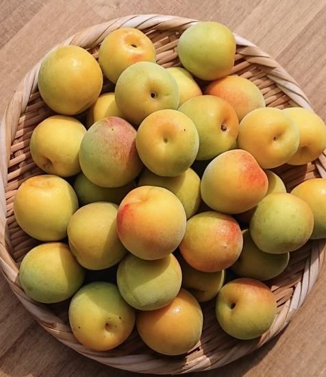木熟南高梅 3kg - おかだ農園