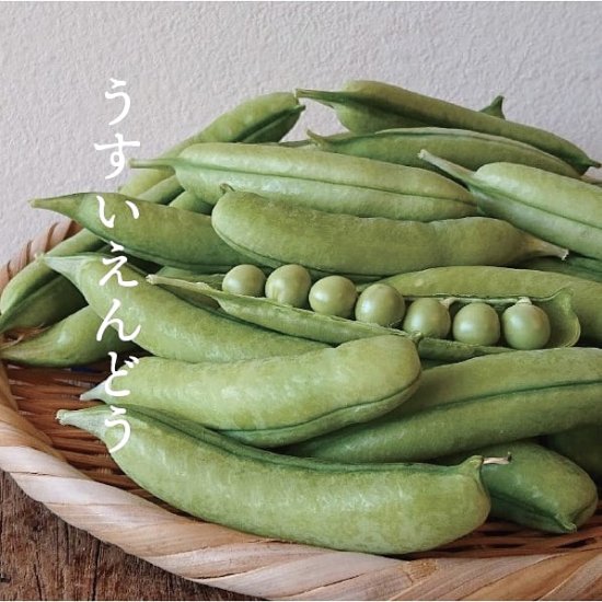 うすいえんどう（紀州うすい）500g - おかだ農園