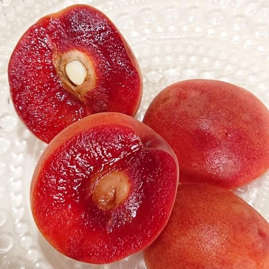 露茜 和歌山産 お買い得 8kg 2L以上混合 楽天市場】露茜（つゆあかね） 冷凍 AB混合 梅とすももの交配種