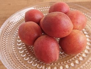 Ҥ礦ﳲĥ楢  2kg