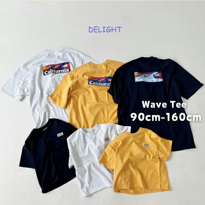 ڹ񤳤ɤ Wave Tee ǥ饤/Delight