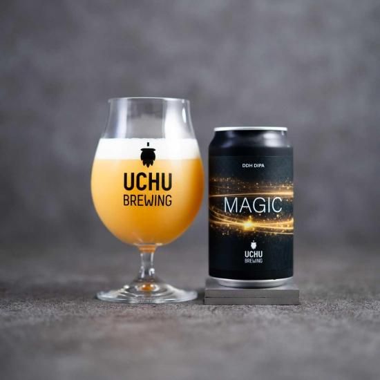 ڥӡMAGIC 6ܥå