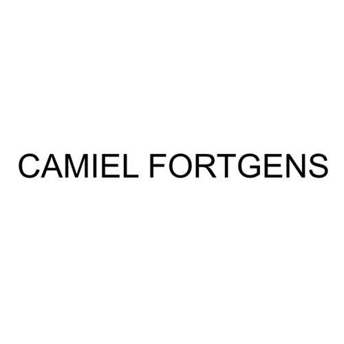 Camiel Fortgens カミエル 四分子トヘンス