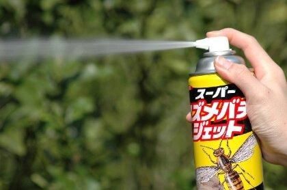 カインズ イカリ消毒 スズメバチも駆除できる 総合不快害虫 カインズ イカリ消毒 スズメバチも駆除できる 総合不快害虫