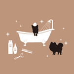 ڼ谷ȼԲŵ۸ӥꥹ̿ǧֺ