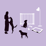 ͥŵ۸ιư襢ɥХ̿ǧֺ