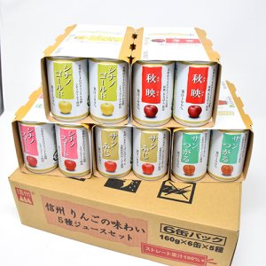 長野県産りんごジュース５種３０缶