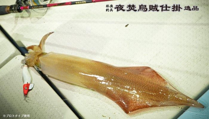 HAYASHI 夜焚烏賊仕掛 逸品 オモリグ 二段チューブ
