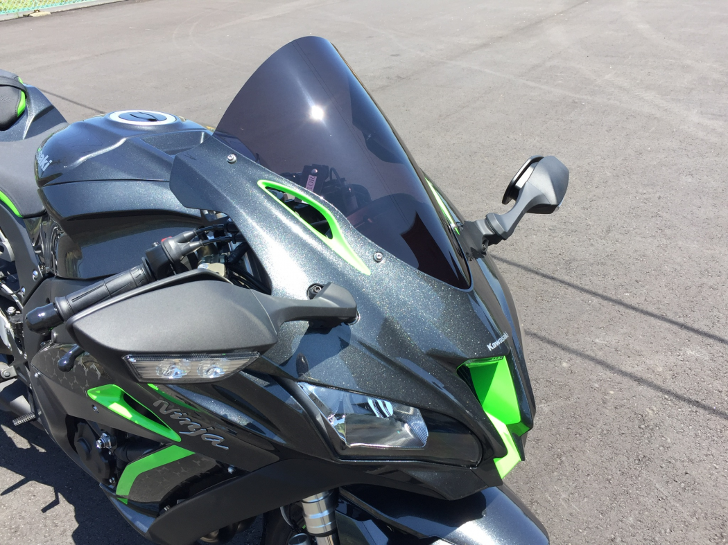 御検討くださいませkawasaki zx10r specialEdition カウル スクリーン