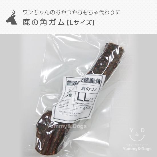 鹿角　端材 21kg 011※ 鹿の角ガム【LLサイズ】 - Yummy&amp;amp;Dogs