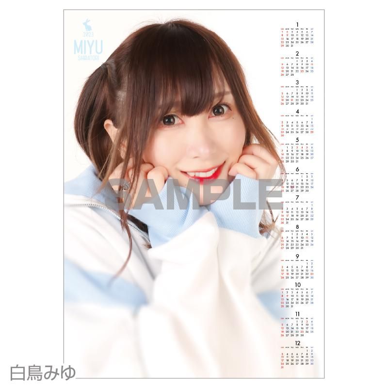 71gSkFvGCGL._AC_UF1000,