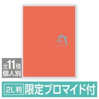 Х2LȽ/O֥Х顼